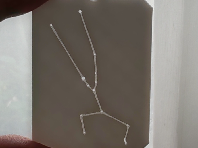 Taurus constellation keychain