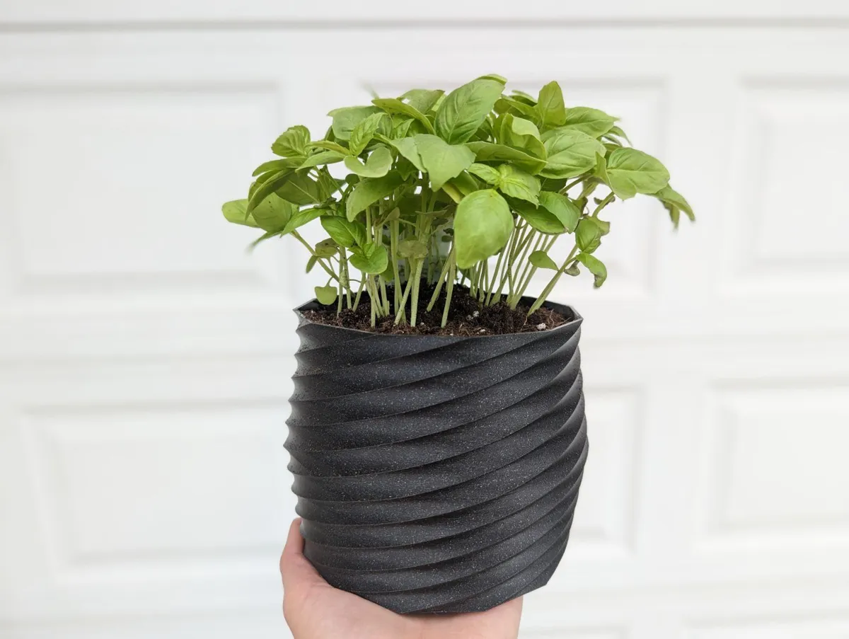 Pot de fleurs