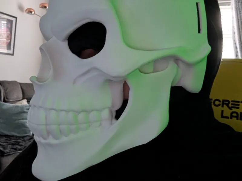 Skull mask full size