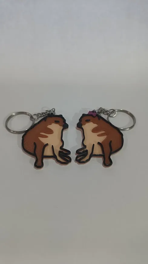 https://makerworld.bblmw.com/makerworld/model/US4b3202581f4918/design/2024-01-31_4d58edbc31c4c.jpg