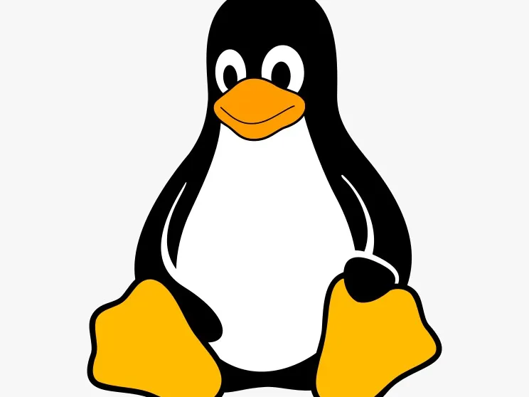 Pinguim colorido