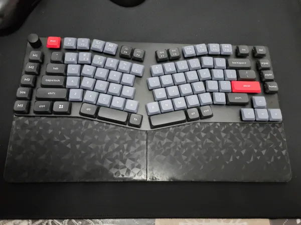 https://makerworld.bblmw.com/makerworld/model/US4b3571e744818a/design/2025-01-20_e1a79fadd65e.jpg