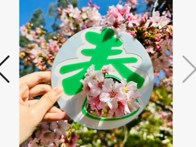 「收集春天」出片神器 春日打卡拍照道具
