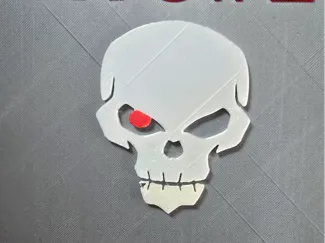 RVS1 SKULL LOGO