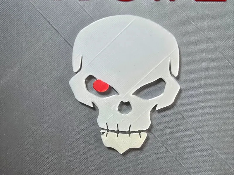 RVS1 SKULL LOGO