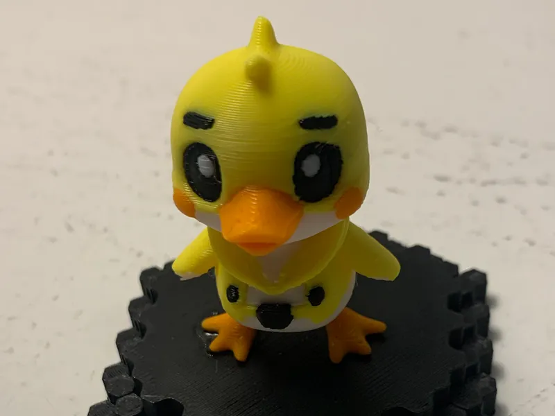 Duck in a sweatshirt
