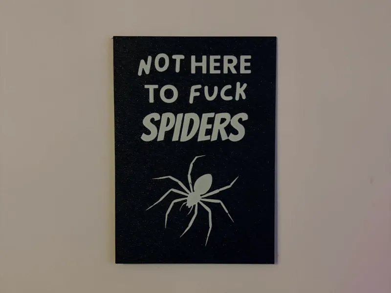 Not here to fk spiders