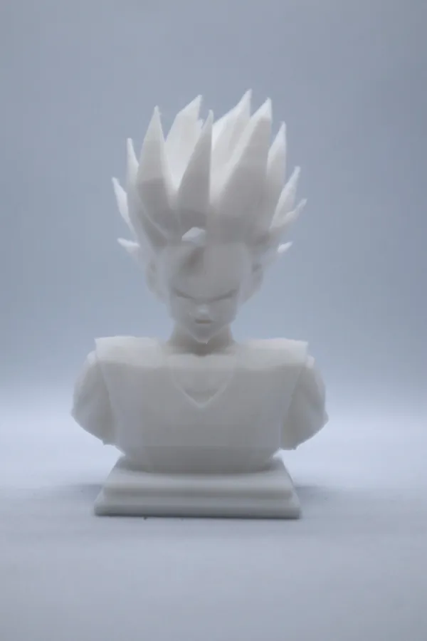 https://makerworld.bblmw.com/makerworld/model/US4b5086a52cfd40/design/2023-12-21_96f97326b7a8a.jpeg