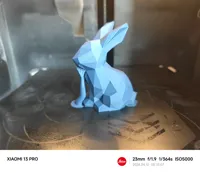 Lapin low poly — photo 4