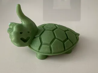 Thumbs-up Turtle