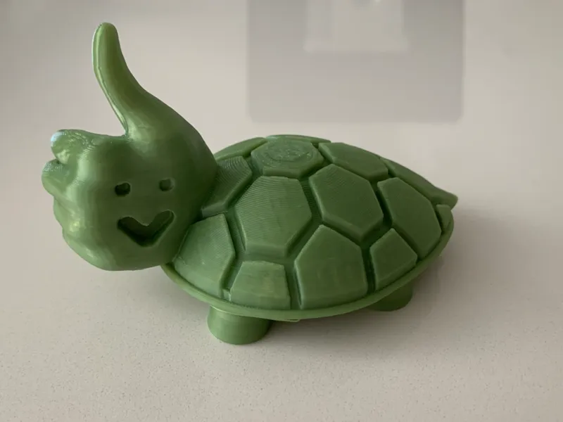 Thumbs-up Turtle