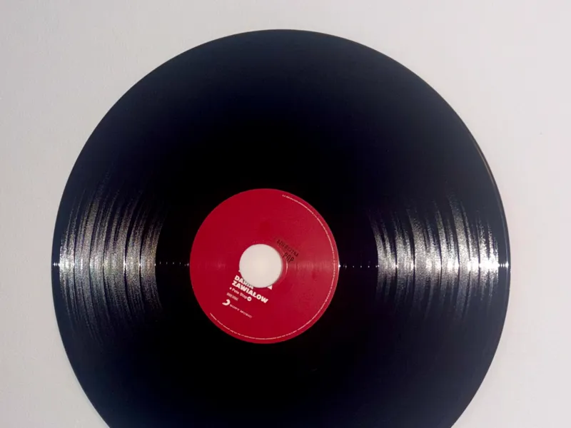 Stylish Vinyl records Hanger ( glue or screw )