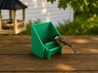 Bird Feeder