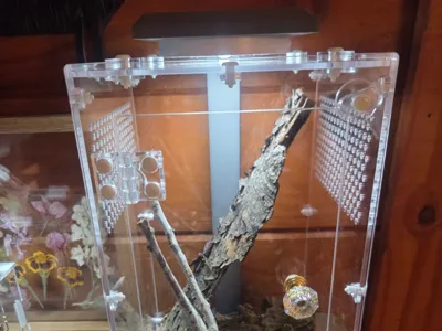 6"x6" Jumping Spider Enclosure Light Stand