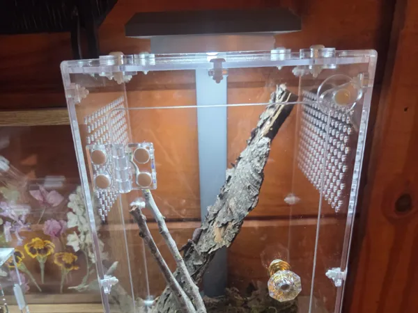 https://makerworld.bblmw.com/makerworld/model/US4b5aae3378026c/design/2025-05-25_ec2a116867d1f8.jpg