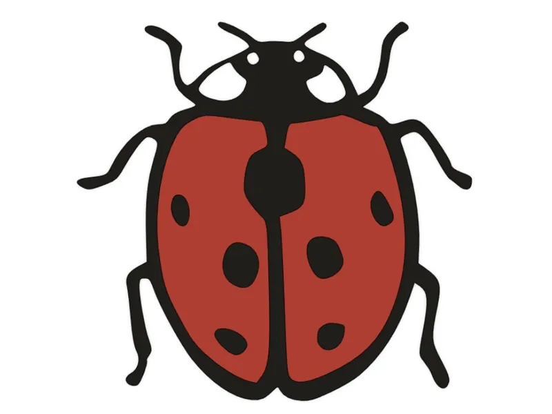 wall art - ladybug