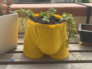 Mutanda vaso