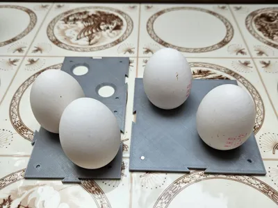 Modular Egg holder
