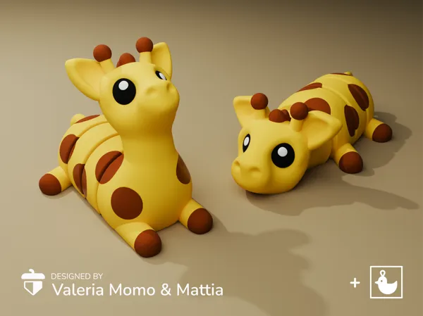 https://makerworld.bblmw.com/makerworld/model/US4b60d3bfe45fb7/design/2024-08-30_515f85d70a242.png