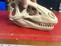 P1S 0.2mm layer, 3 walls, 5% infill
