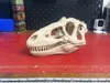 A1 Mini0.2mm layer, 3 walls, 5% infill