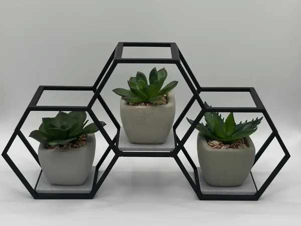 https://makerworld.bblmw.com/makerworld/model/US4b7347bdc4bd04/design/2025-01-22_42ed4dff1227b.jpg
