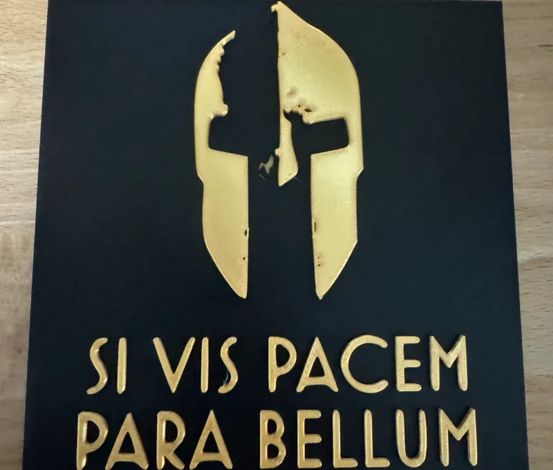 Si Vis Pacem Para Bellum