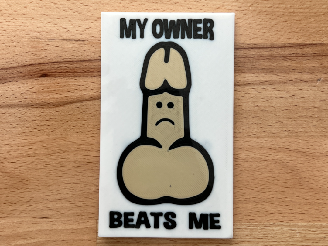 My Owner Beats Me Funny Fridge Magnet Sign 