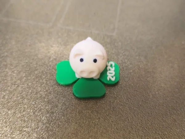 https://makerworld.bblmw.com/makerworld/model/US4b83e7ef72def9/design/2024-11-30_e3dc560ae0b62.jpg