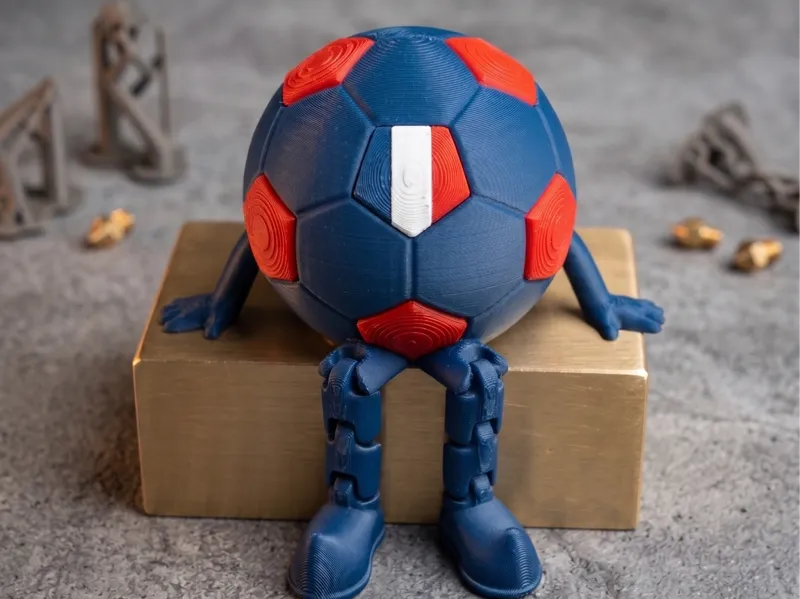 France Soccer Buddy for FIFA World Cup