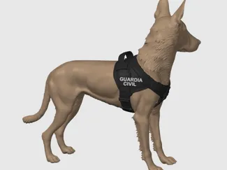 Perro Malinois Belga de la Guardia Civil