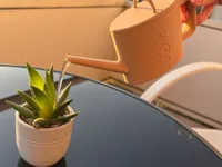 0.16mm layer, 2 walls, 15% infill