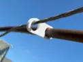 Dripline Loop Hanger