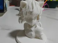 0.1mm 层高, 3 层墙, 5% 填充