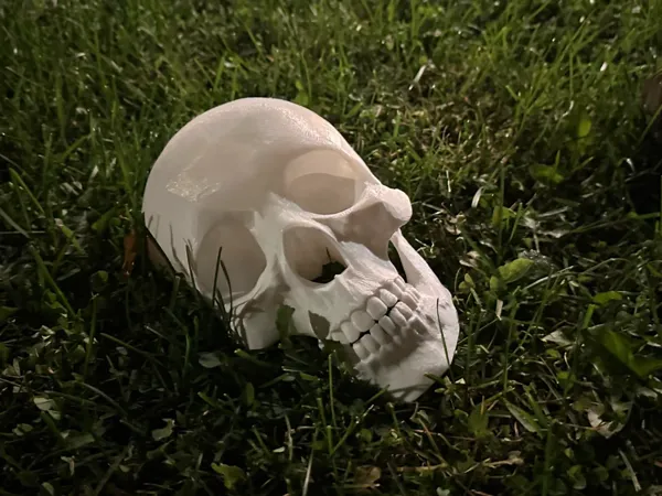 https://makerworld.bblmw.com/makerworld/model/US4b9930454f8990/design/2024-10-08_ff587215aff3f.jpg
