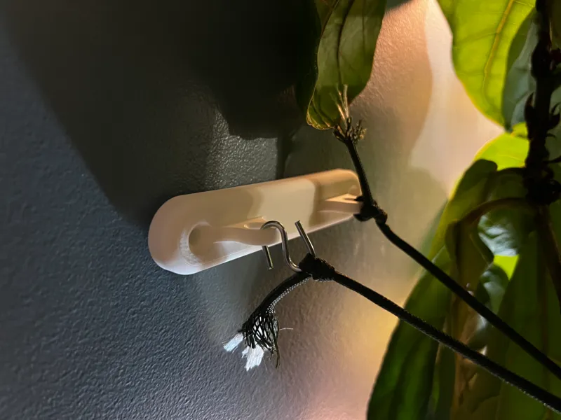 FormFlora Plant Wall Anchor