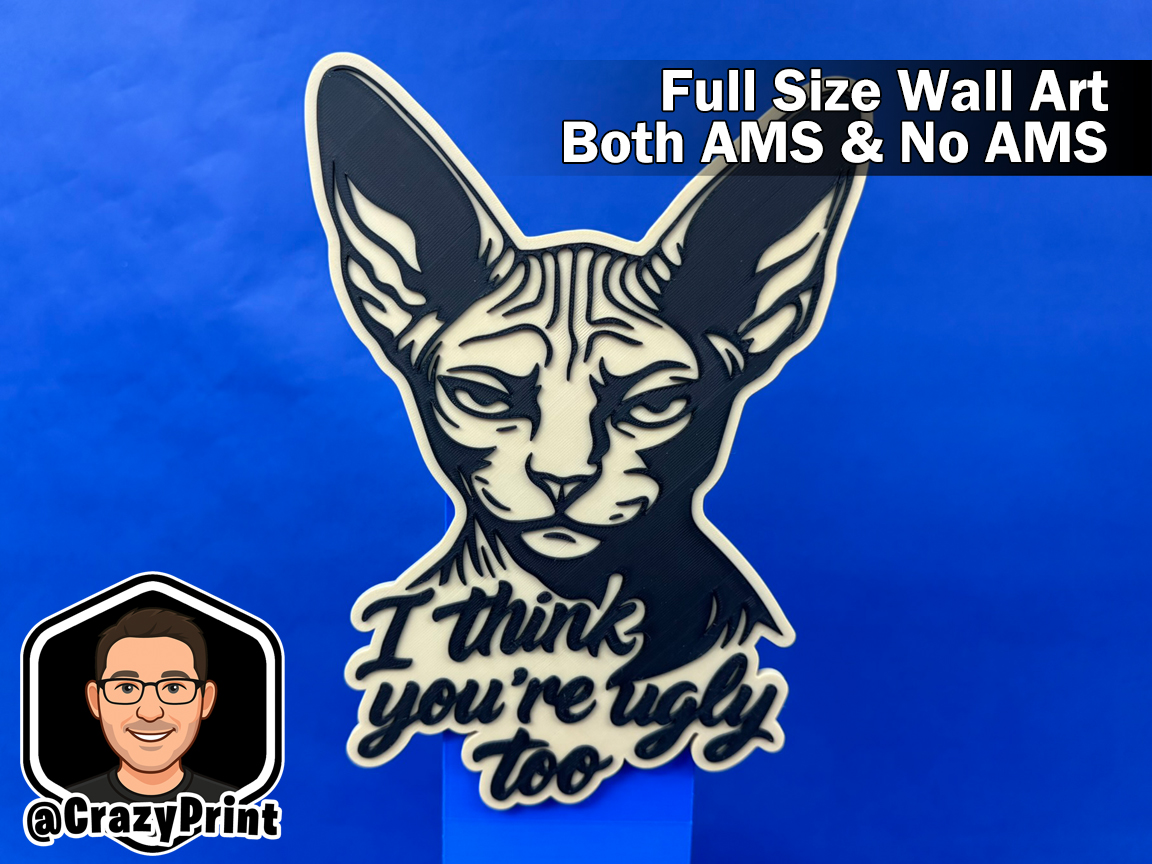 Funny Ugly Cat Sign / Wall Art - No AMS - Sphynx 