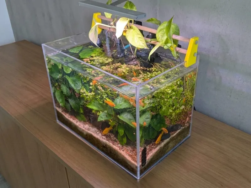 Aquarium plants support
