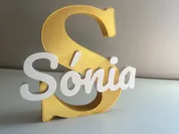 0.2mm layer, 3 walls, 5% infill