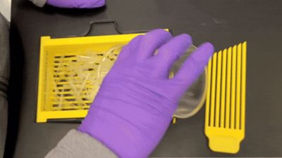 FLOODGATE - Modular Micropipette Tip Box Reloader