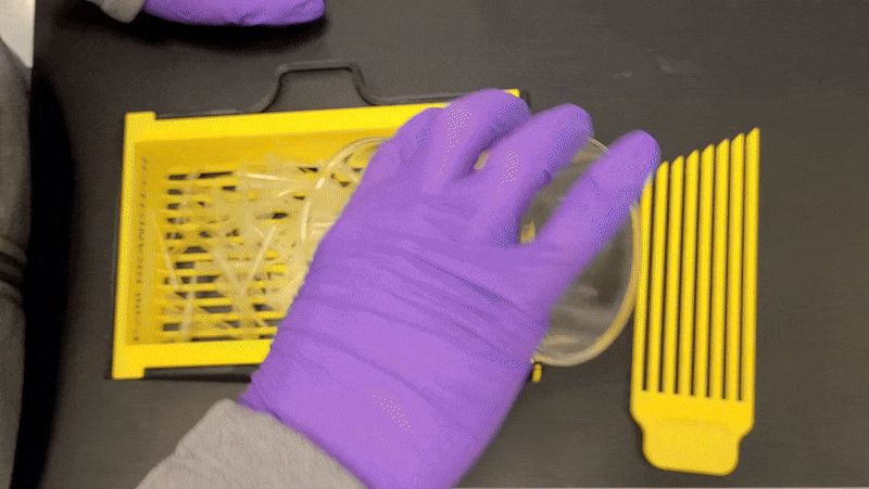 FLOODGATE - Modular Micropipette Tip Box Reloader