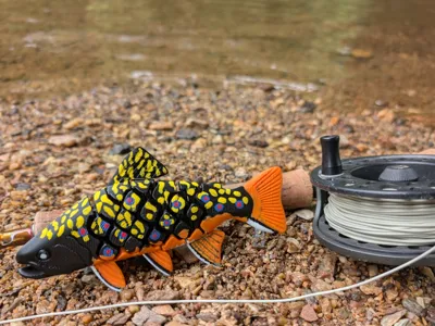 Articulated Brook Trout