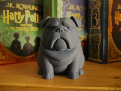 Grumpy Bulldog