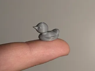 Cute Micro Duck - 10 min
