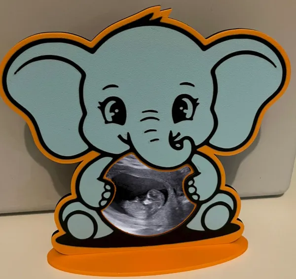 https://makerworld.bblmw.com/makerworld/model/US4bc1517e64997a/design/2025-01-03_4a83be317a754.jpg