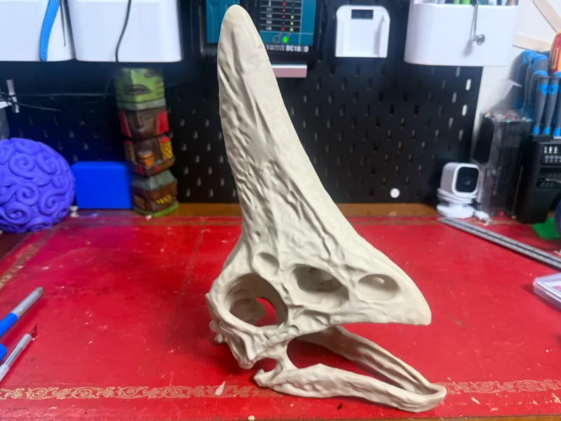 Lifesize Oviraptor Skull – 12 Inch “Spike” Replica