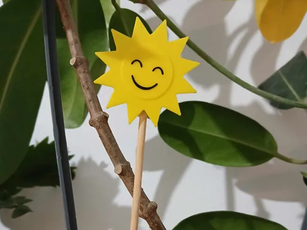 https://makerworld.bblmw.com/makerworld/model/US4bc72a3e5a8bb2/design/2024-12-25_0b803e6c00321.jpg