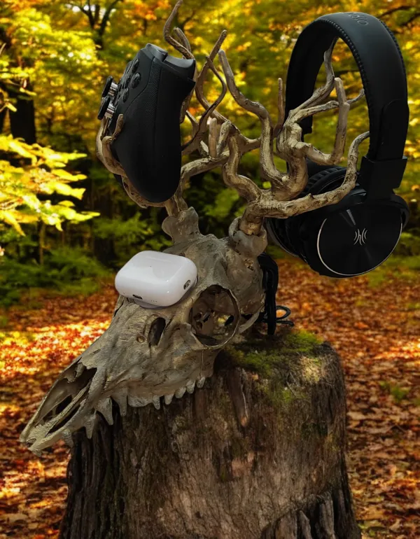 https://makerworld.bblmw.com/makerworld/model/US4bcc4bf61fe2e2/design/2024-11-20_40b1e0339dc91.png