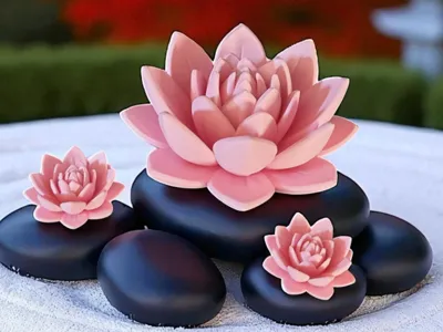 Lotus Flower