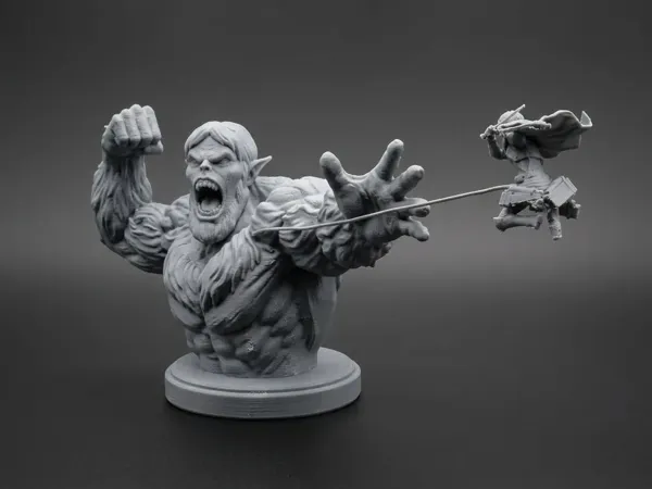 https://makerworld.bblmw.com/makerworld/model/US4bcf50a03f9cb1/design/04d42531f1027c30.webp